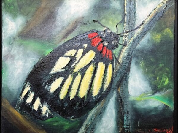 Butterfly